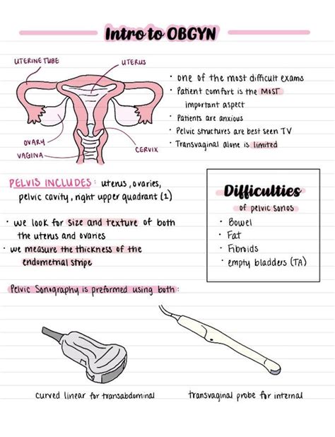 Intro to OBGYN Ultrasound Notes - Etsy