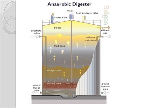 What Is A Digester In Wastewater Treatment