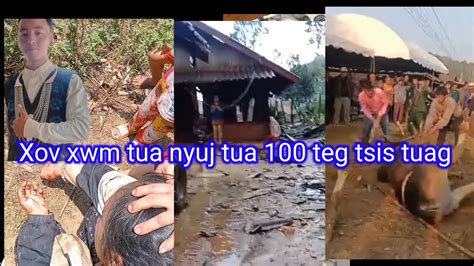 Xov Xwm Tua Nyuj 100 Teg Tsis Tuag Txaug Ntxhai Kaws YouTube