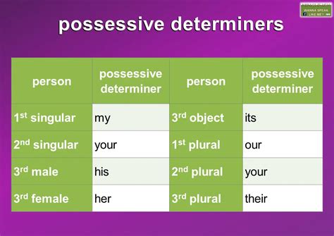 Possessive Determiners Examples Hot Sex Picture