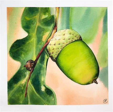 A Watercolor Painting Of An Acorn On A Tree Branch