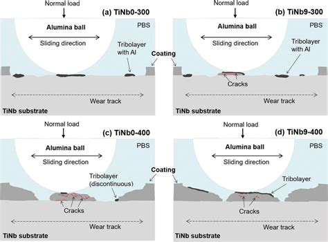 Schematic Illustration Of The Suggested Tribocorrosion Mechanisms Of A