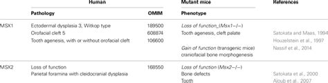 | MSX mutations in human and corresponding experimental models ...