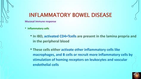 Inflammatory Bowel Disease Pathogenesis Ppt