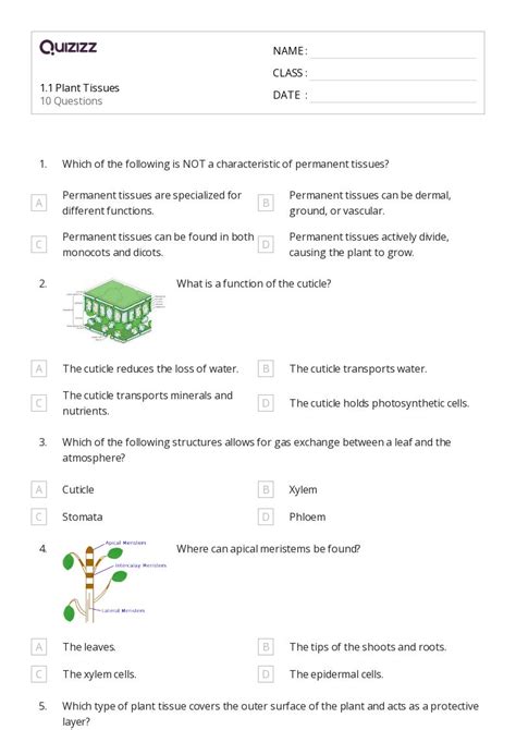 Tissues Worksheets On Quizizz Free Printable