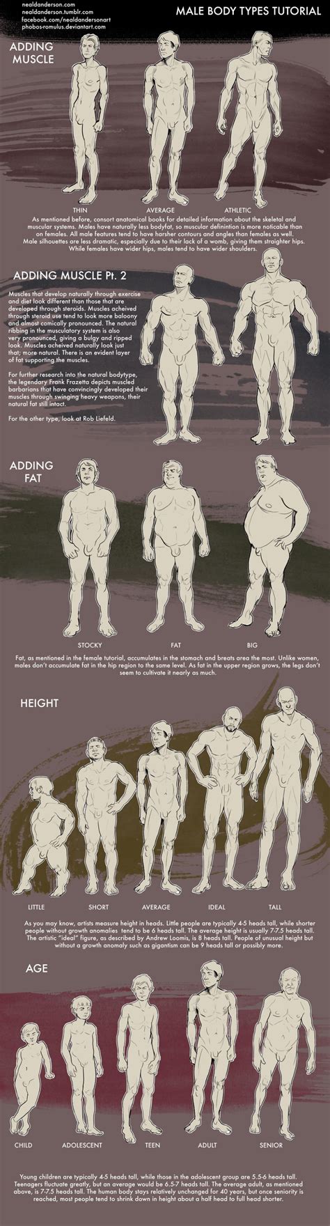 Male Body Types Tutorial By Phobos Romulus On Deviantart En 2020