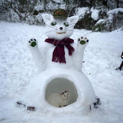 Snowcats Cat Snowman Inspiration For Feline Lovers Pictures