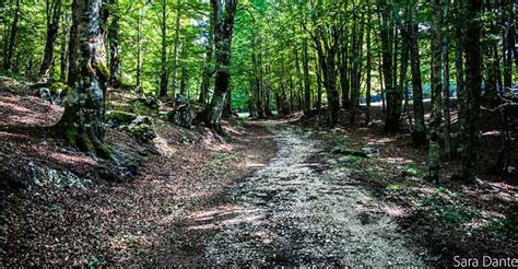 Monte Autore Escursione Ad Anello Da Campo Dell Osso