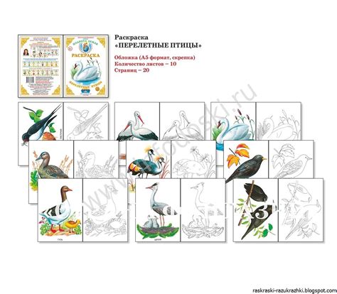 Картинки перелетных птиц для детей с названиями (много фото) - artshots.ru