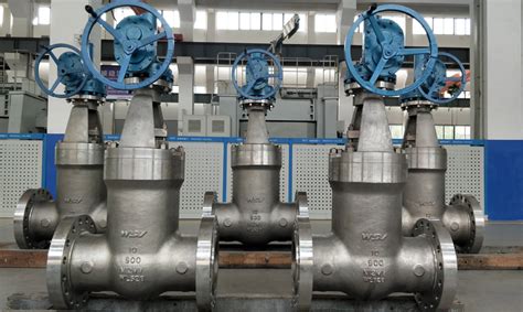 Hastelloy Manufacturer Company Wsv Valve