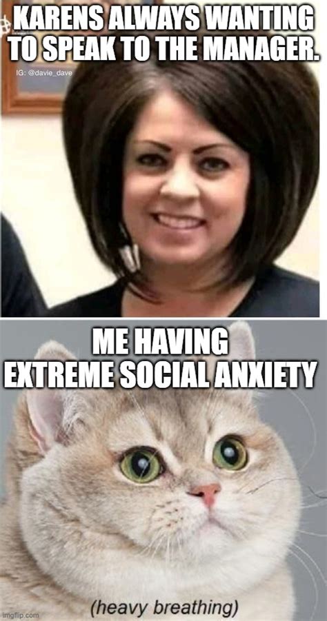 Image Tagged In Mega Karen Memes Heavy Breathing Cat Imgflip