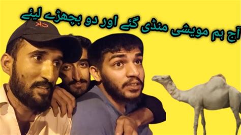 Janwar Mandi Men Anjoy Kia Aur 2 Janwar Lia YouTube