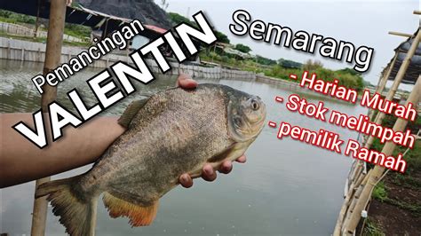 Spot Mancing Baru Harian Murah Ikan Melimpah Youtube