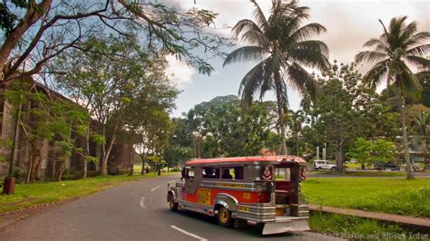 Tree Travels: University of the Philippines Los Banos