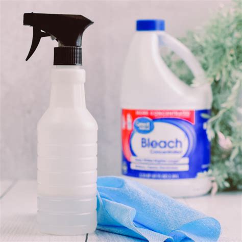 How to Make Your Own Disinfectant Spray with Bleach - Home in the Finger Lakes