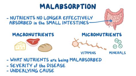 Malabsorption: Clinical: Video, Anatomy & Definition | Osmosis