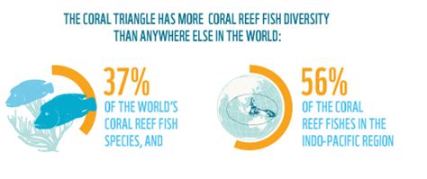 Coral Triangle facts | WWF