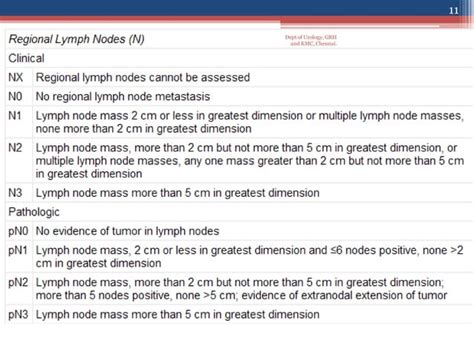 Testis Carcinoma Management Lymphatic Drainage And Rplnd