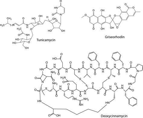 Engineering Of Streptomyces Lividans For Heterologous Expression Of Secondary Metabolite Gene