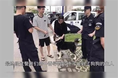 狗狗跑到警察局蹭空调，没想黄麂也跟来了，黄麂：我可以当警兽！