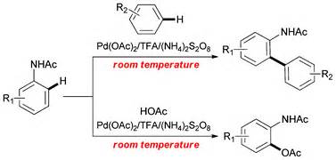 Palladium Catalyzed CH Activation Of Anilides At Room Temperature