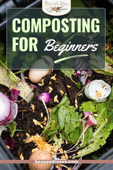 How To Start Composting (For Beginners): Composting - All Things Garden - Beesandroses.com