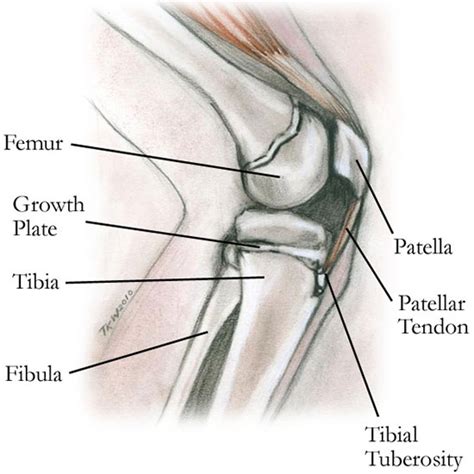 Hard Lump On Knee