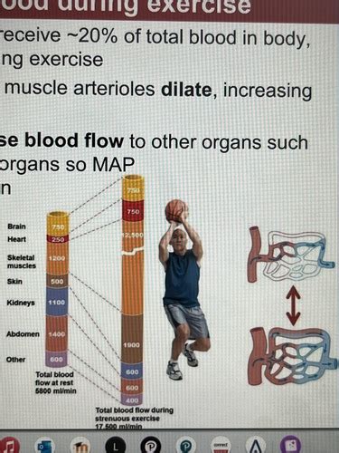 A P Ch Blood Vessels Homeostatic Imbalances Blood Flow