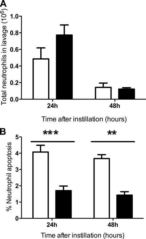 Neutrophil Counts And Apoptosis In Peritoneal Lavage Fluid Following