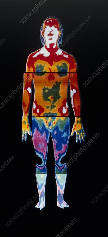 Thermogram Of A Man Stock Image P Science Photo Library