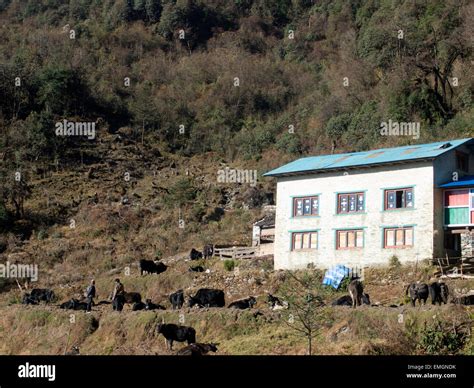 Nepal village house hi-res stock photography and images - Alamy