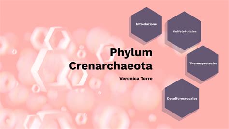 Phylum Crenarchaeota by Veronica Torre on Prezi