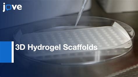 3d Hydrogel Scaffolds For Articular Chondrocyte Culture And Cartilage