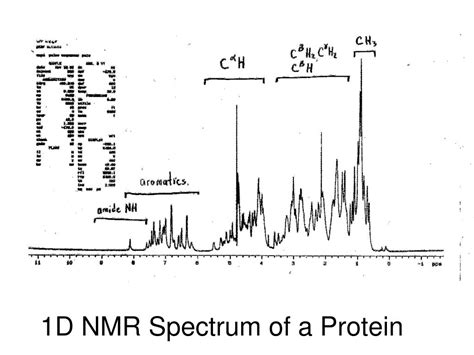 Ppt 1d Nmr Spectrum Of A Protein Powerpoint Presentation Free