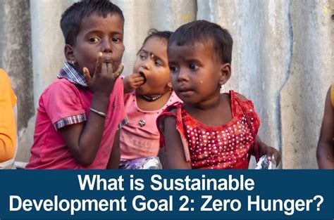 What Is Sustainable Development Goal Zero Hunger Open Article