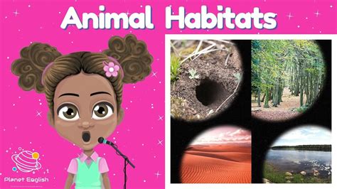 Habitats Song Ks At Shawn Velasquez Blog