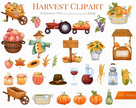 Fall Clipart Harvest Clipart Thanksgiving Clipart Png - Etsy