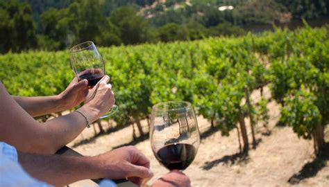 Vesuv Weintour Mit Verkostung Und Mittagessen Getyourguide