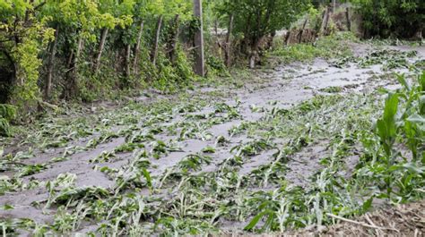 Din Cauza Precipita Iilor I V Ntului Puternic Zeci De Hectare De