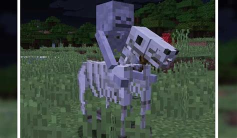 Skeleton Horse Spawn Mod for Minecraft 1.19.2, 1.18.2 and 1.16.5