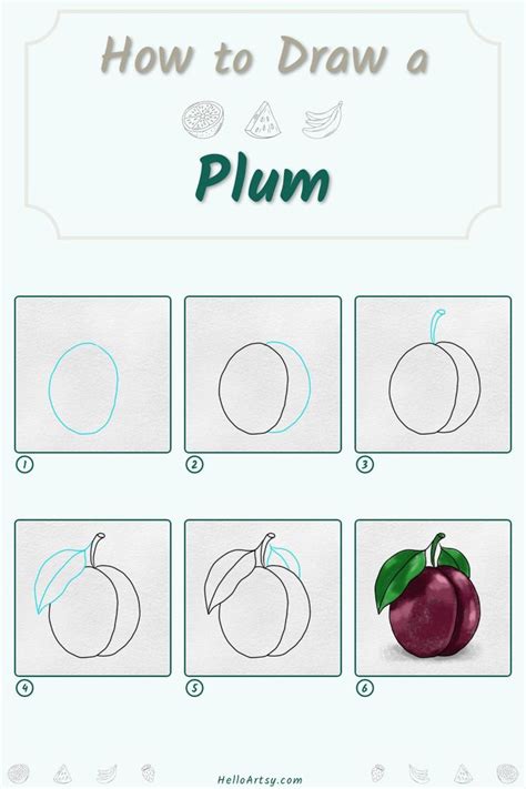 How To Draw A Plum 6 Easy Steps Fruits Drawing Mini Drawings