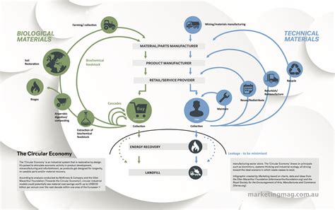 Infographic: The Circular Economy - Live Circular