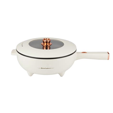 New Mini Electric Hot Pot Cooking Multifunction Cooker L Portable Electric Thermo Pot Small