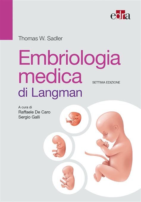 Embriologia Medica Di Langman Medical Books