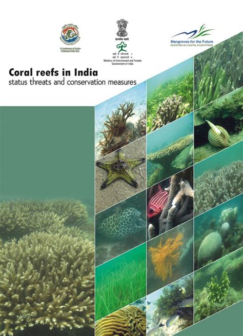 Mangroves, reefs and reef associates in India | Current Conservation