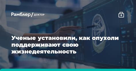 Science: белок p62 помогает опухоли поддерживать свои жизненные ...