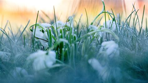 Regen Schnee Und Graupel In Bayern WELT