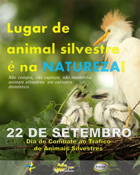 Campanha do PEAS 22 de Setembro Dia de Combate ao Tráfico de Animais