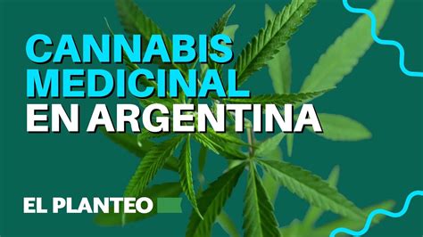 El Cannabis Medicinal Es Legal En Argentina Lo Que Tenés Que Saber Youtube