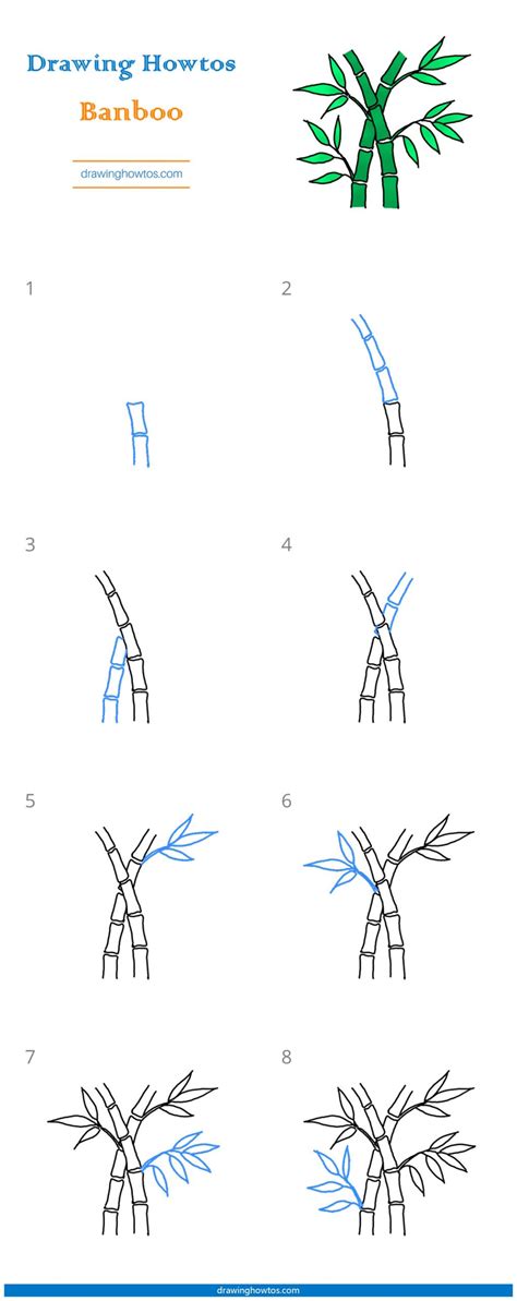 How To Draw Bamboo Step By Step Easy Drawing Guides Drawing Howtos